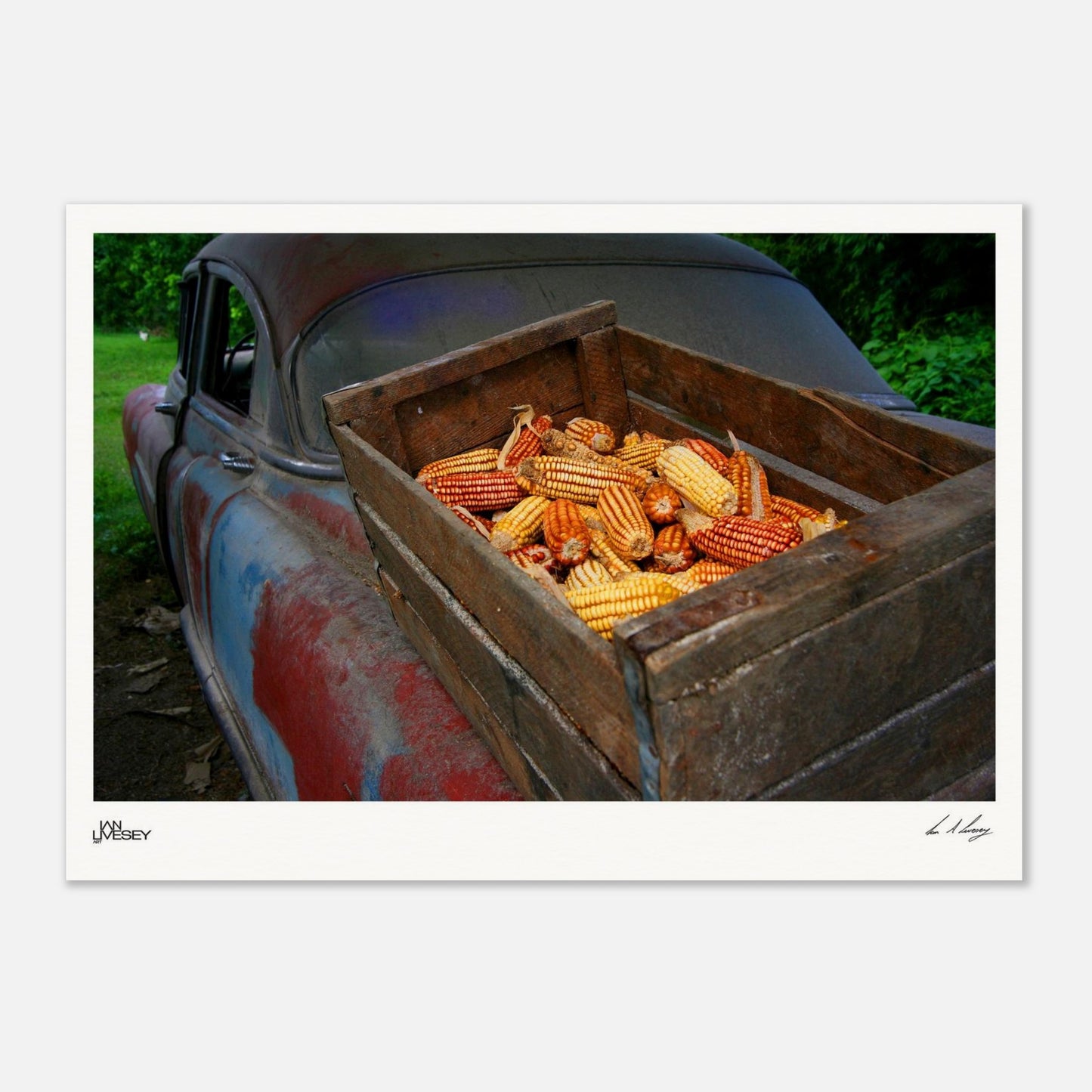 87afa6fc-e82b-405d-8680-5f34a0745c8e