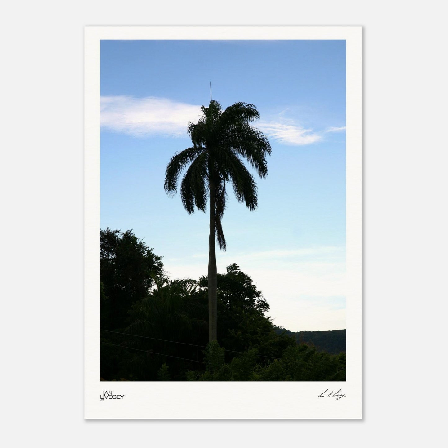 9e607d38-da16-4bdc-8294-f251d6990d5e