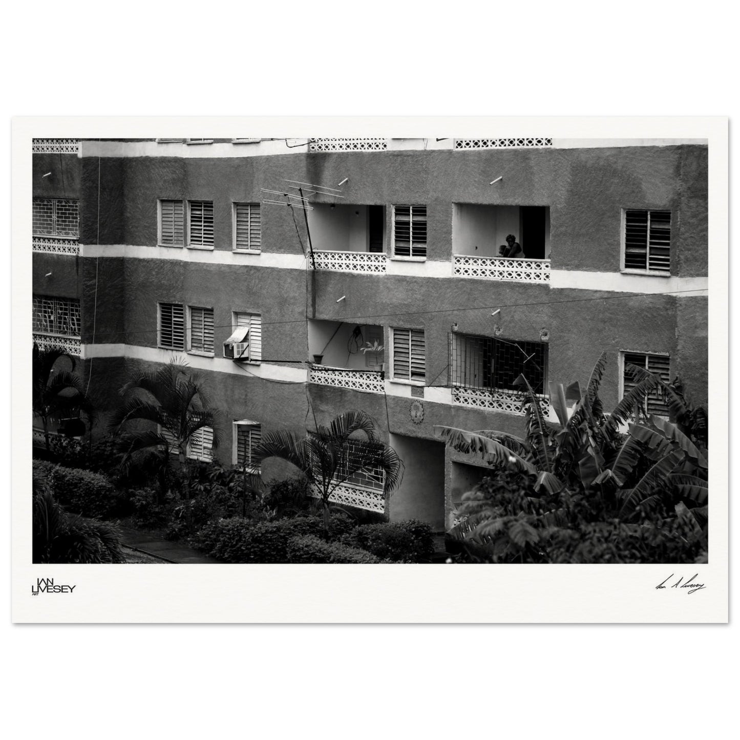 033925bd-f8e5-4144-838a-f20f13393ab1