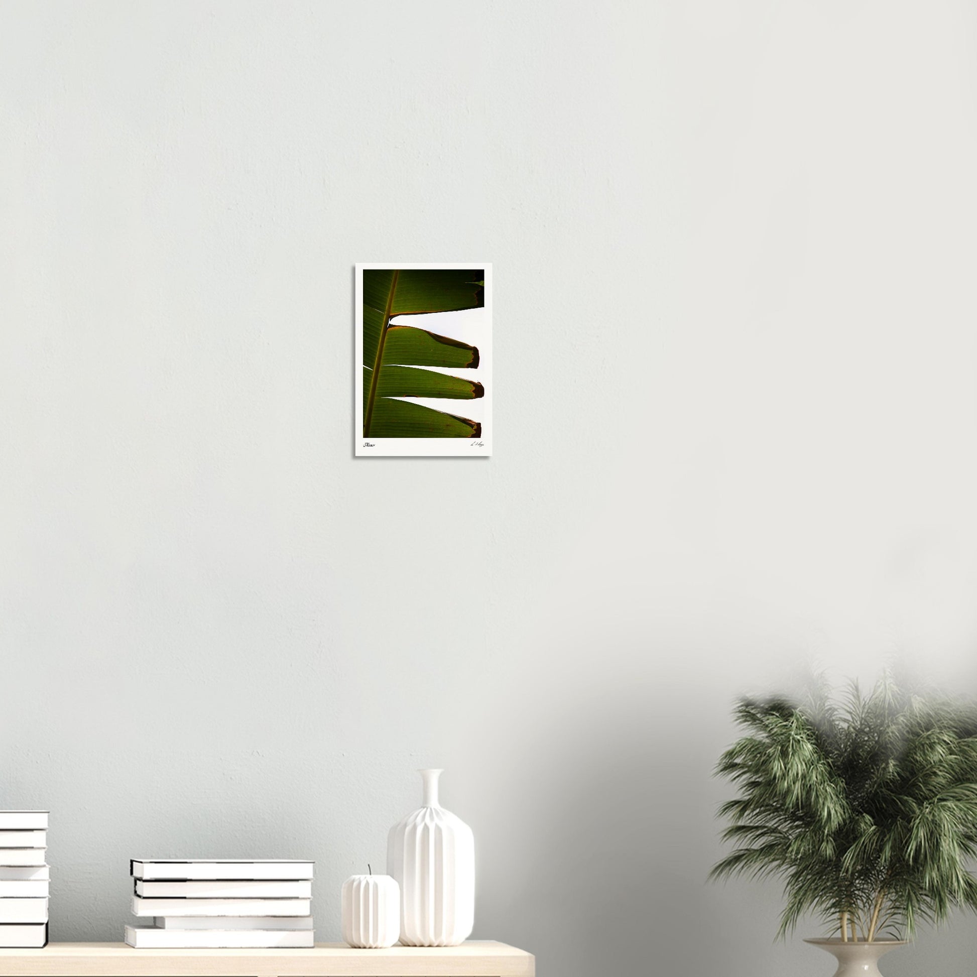 13c23147-0e39-457a-9523-69aa6a77feea