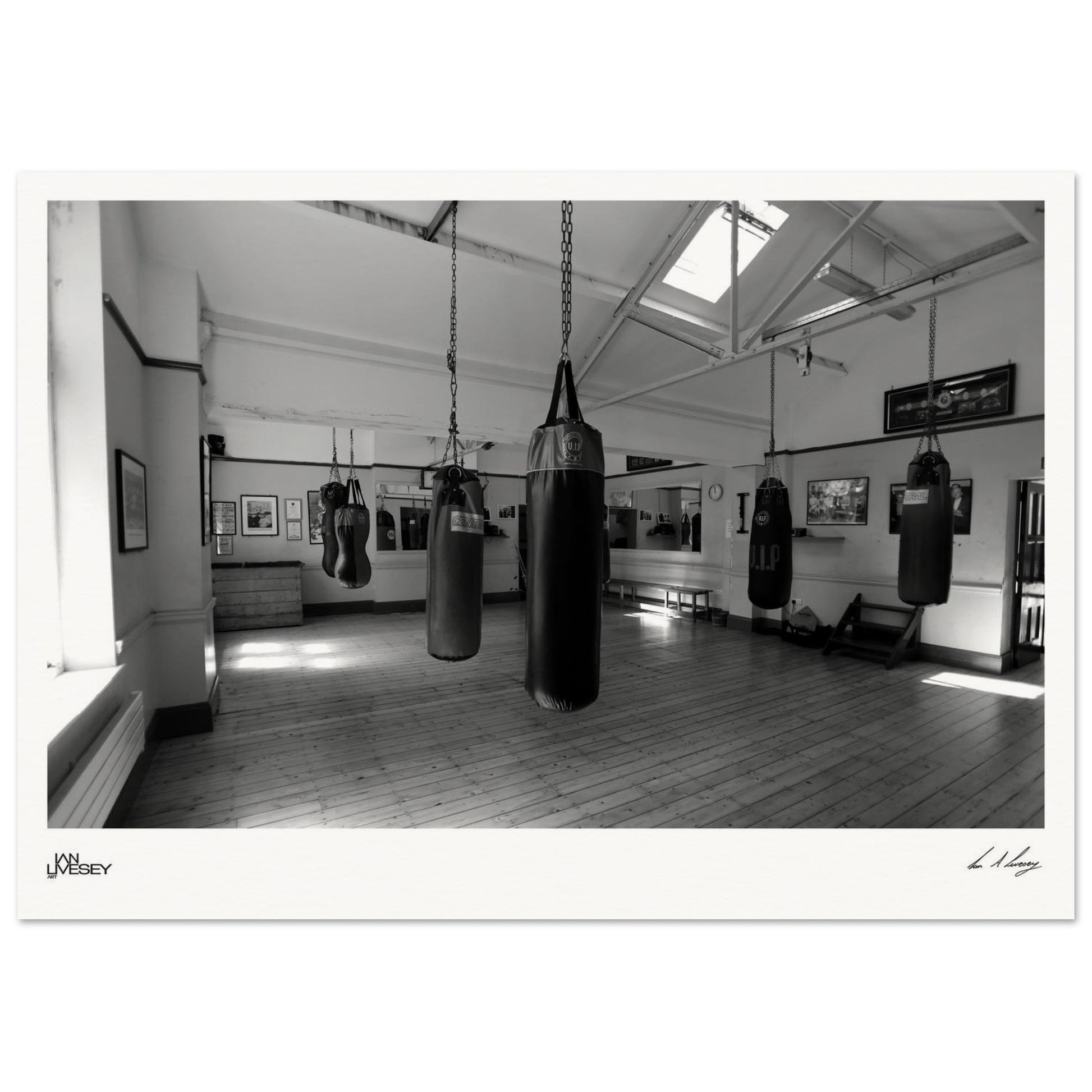 17479b61-4e7a-4d83-b04f-a9619babe897