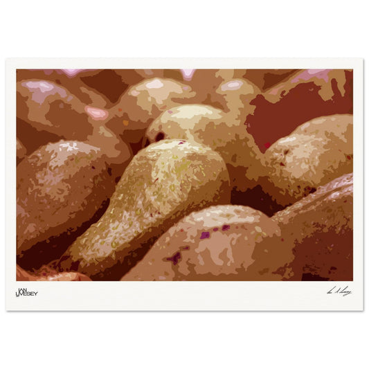 44112127-4d8d-4693-a2c0-b19771d2fc34