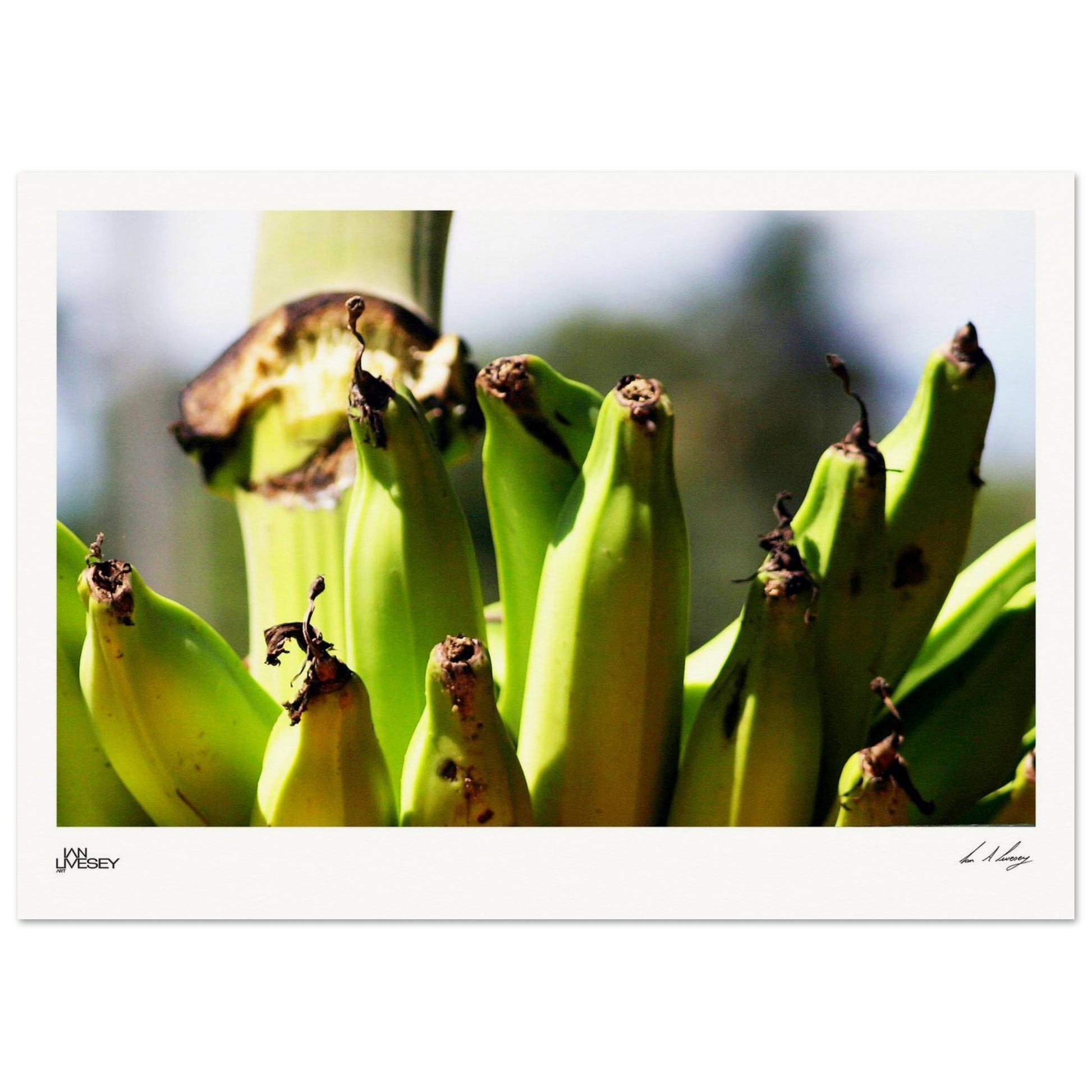 599b91ed-0416-4904-8d60-5b5275f58605