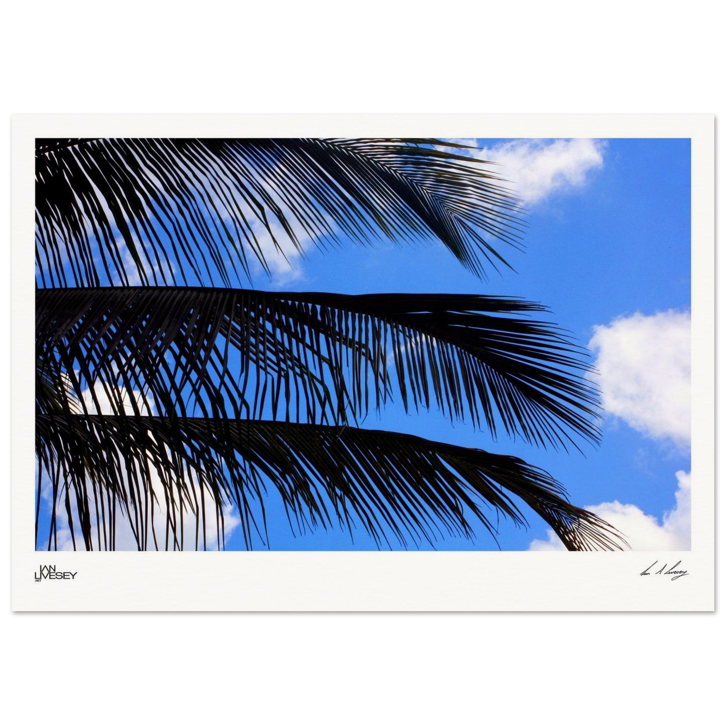 6c277277-b776-47b3-962f-a1b6d4481237