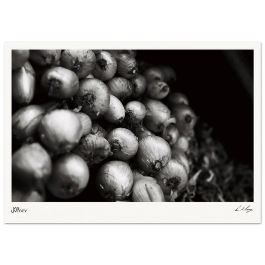 8792ca06-1307-4e00-9de8-cff6e02dbd8e