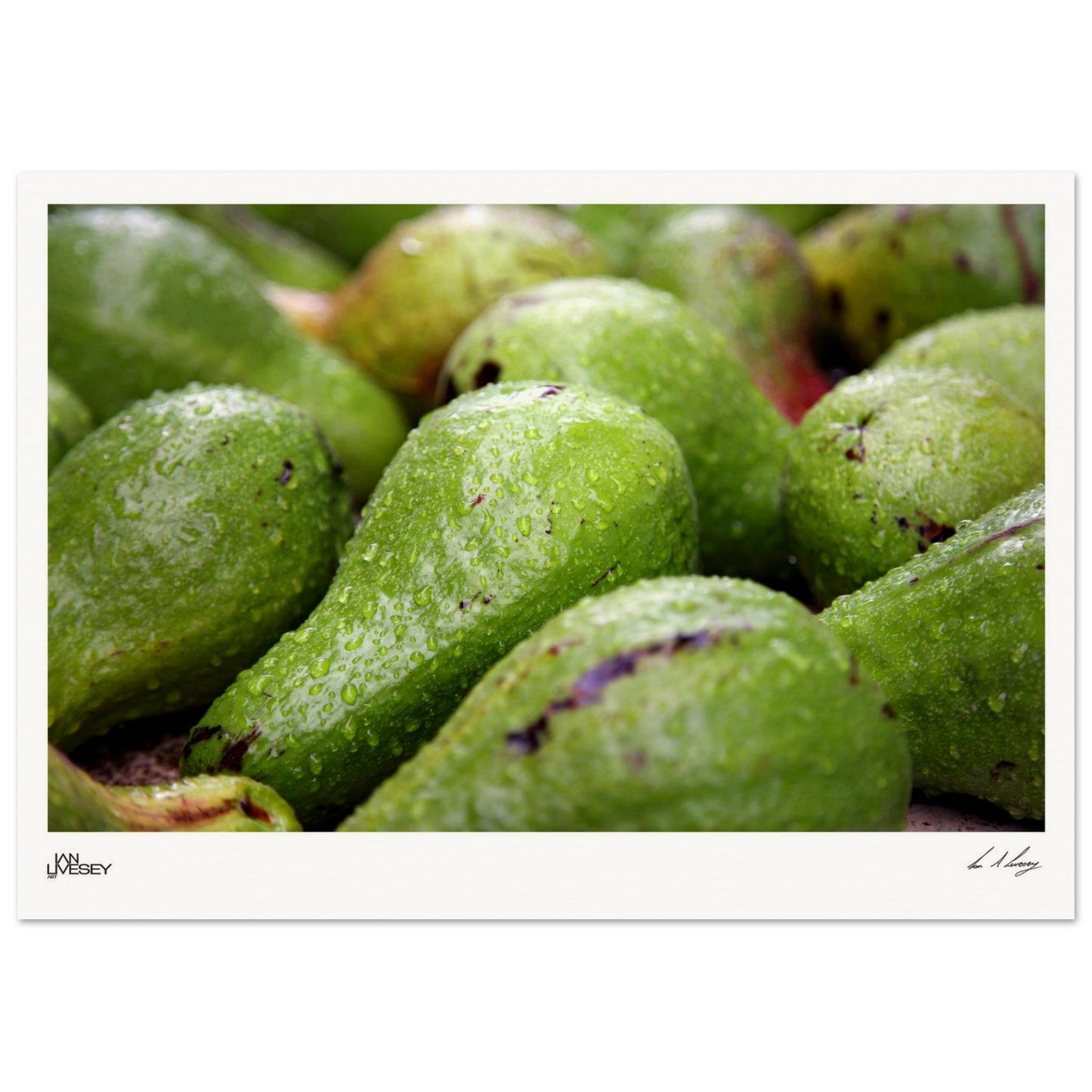 956ef0d4-edb3-4974-bb66-4ce9538c45b2