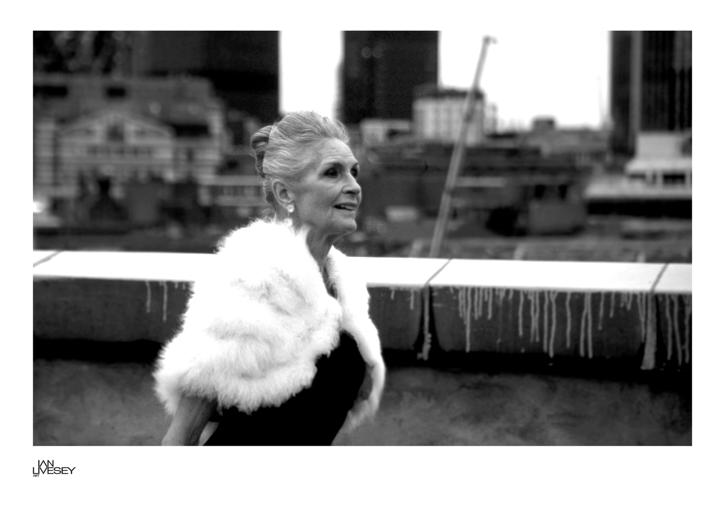 Daphne Selfe Elegance Above the City  - Limited Edition (Monochrome))