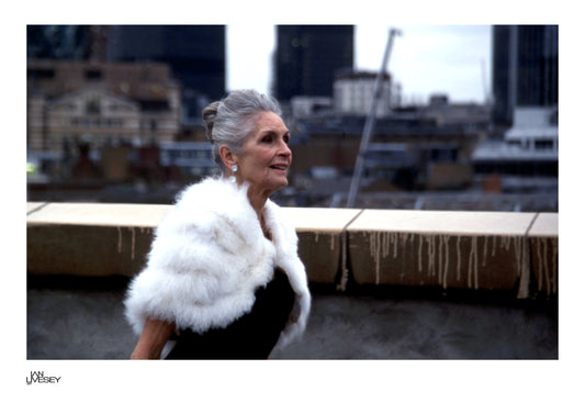 Daphne Selfe Elegance Above the City  - Limited Edition