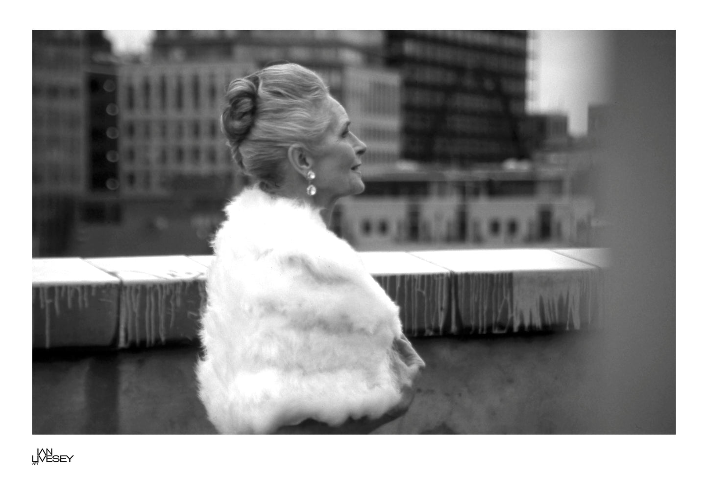 Daphne Selfe Elegance Above the City #2  - Limited Edition