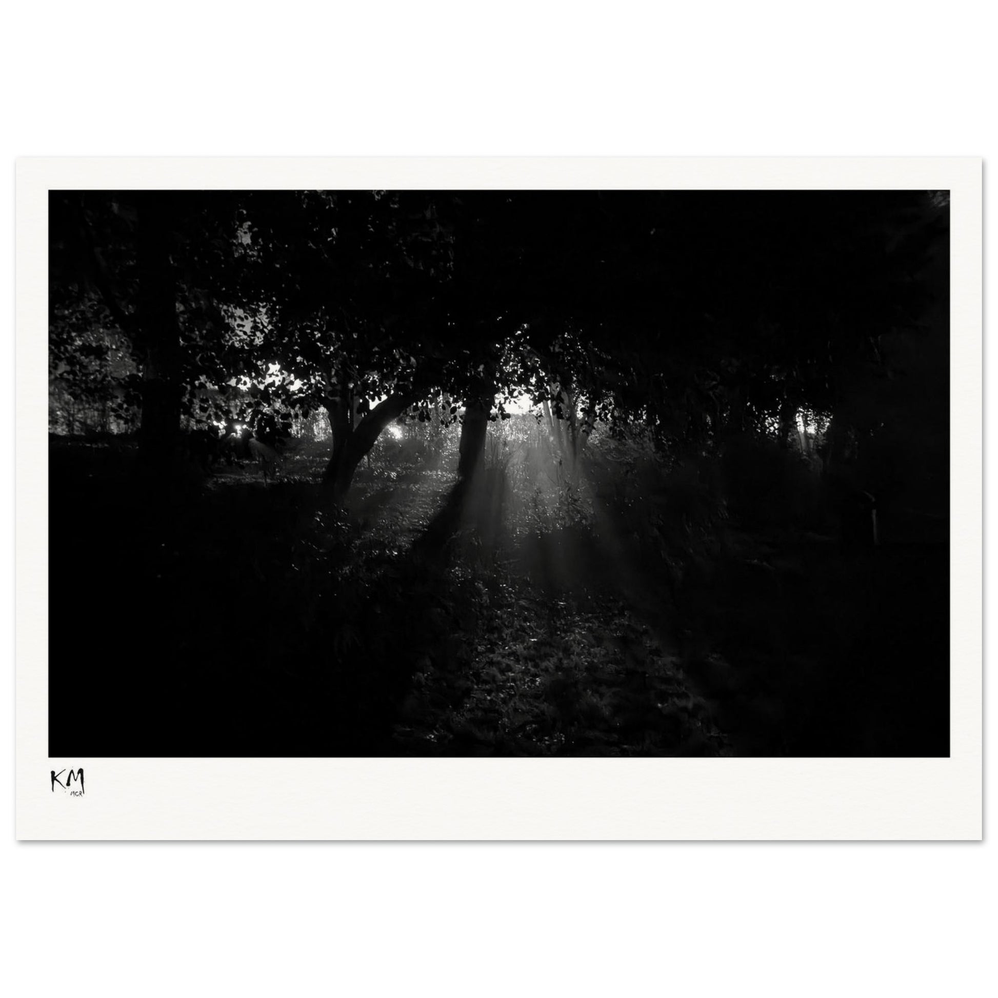 a01fc91e-637c-4526-b2b6-979c3f411c8e