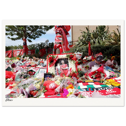 a9546b1a-701b-4068-940e-806363998b30