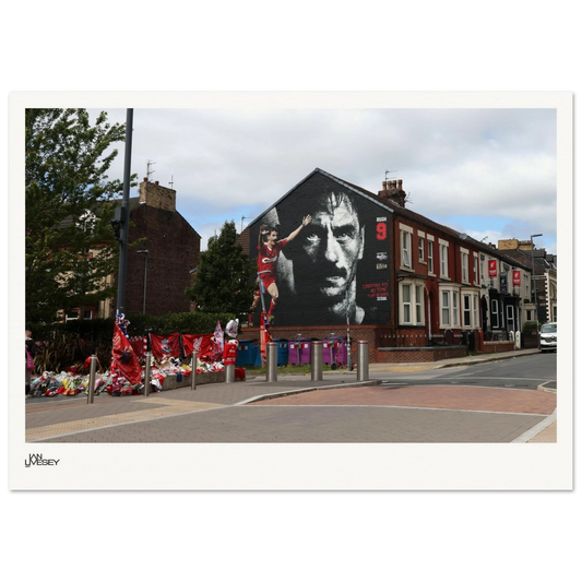 b73625dc-151b-4113-905a-3733c653636e