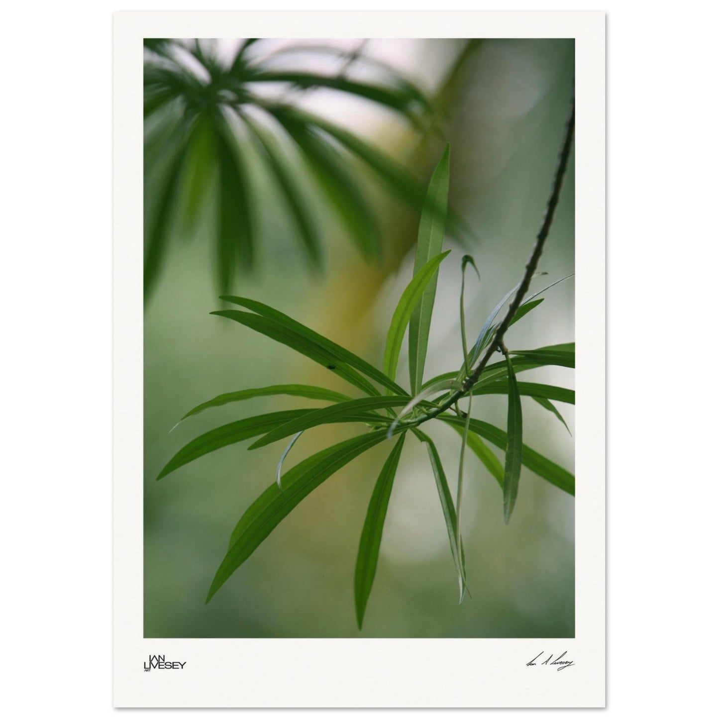 ef384388-7e40-4149-8788-ef48a3c9e3ba