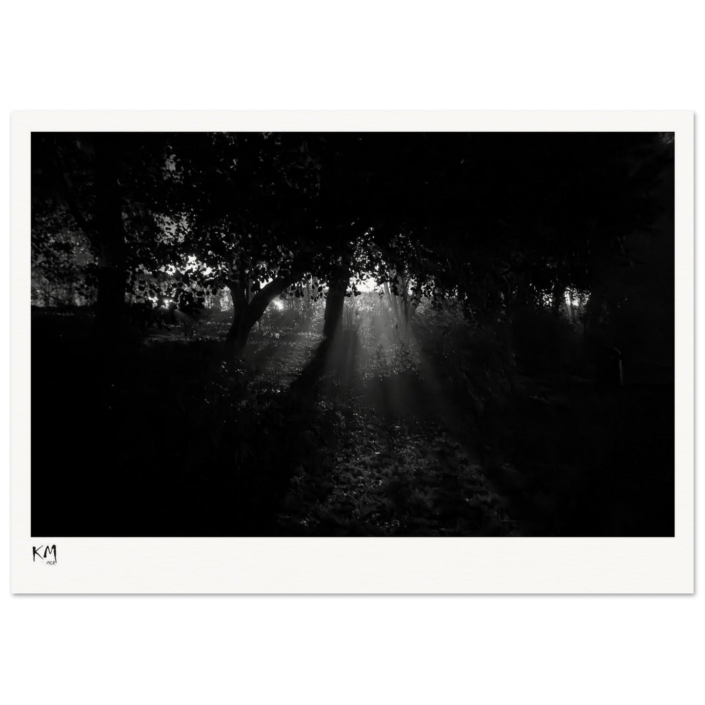 f62243e3-e569-40a9-b320-bec62cedbb78