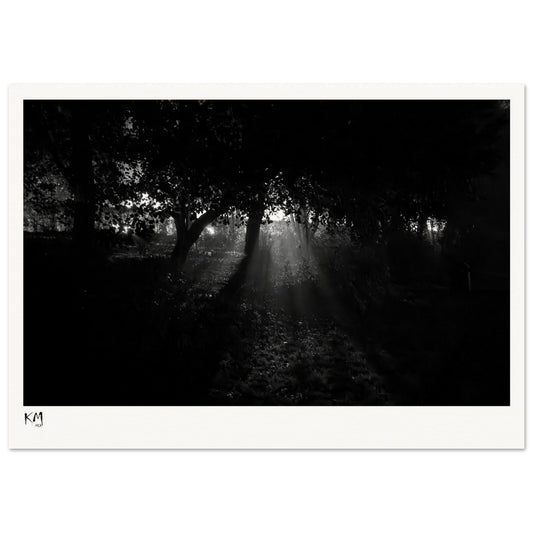 f62243e3-e569-40a9-b320-bec62cedbb78