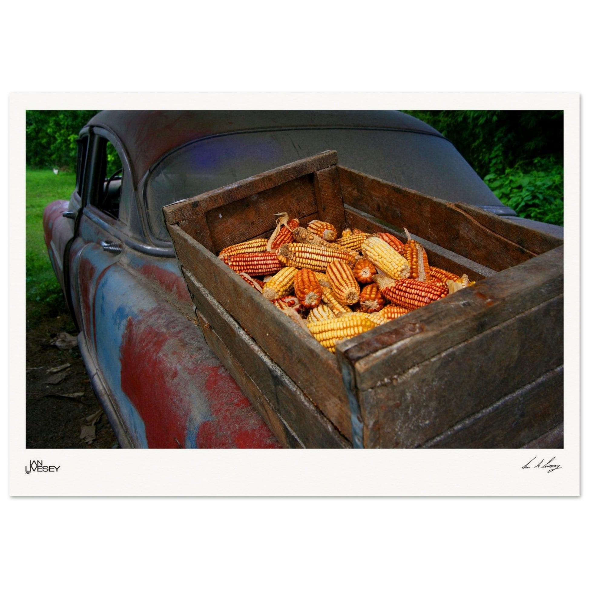 f7cf6abb-c76a-4530-a0a7-ebde70bdfe89