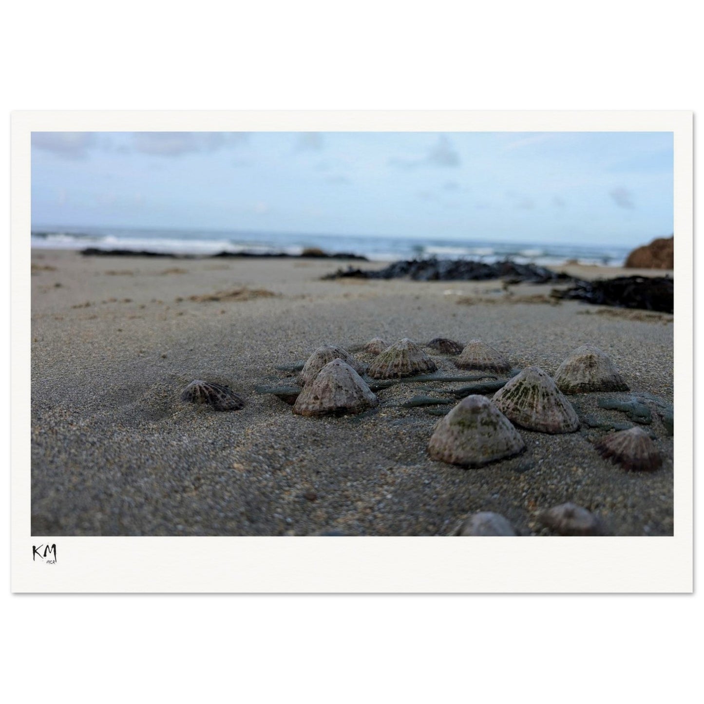 ff5e97c5-1331-4efa-ad26-737db934d51d