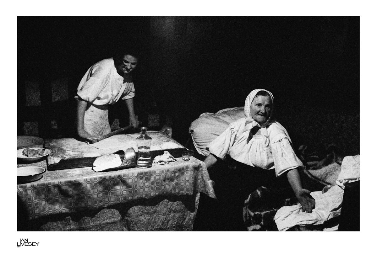 When Dog Howls - Romania